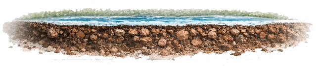 Manage Soil Moisture