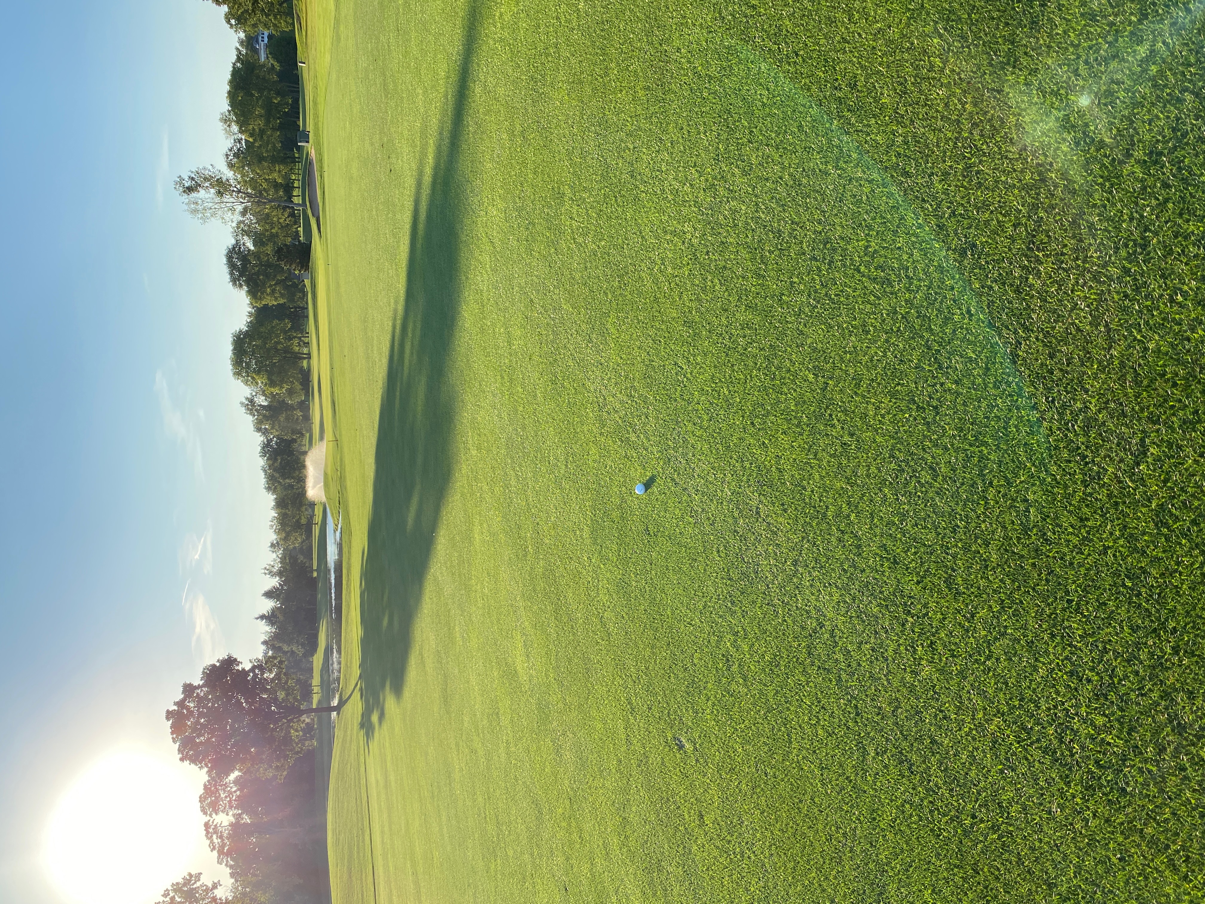 Golf fairway in late-day sun