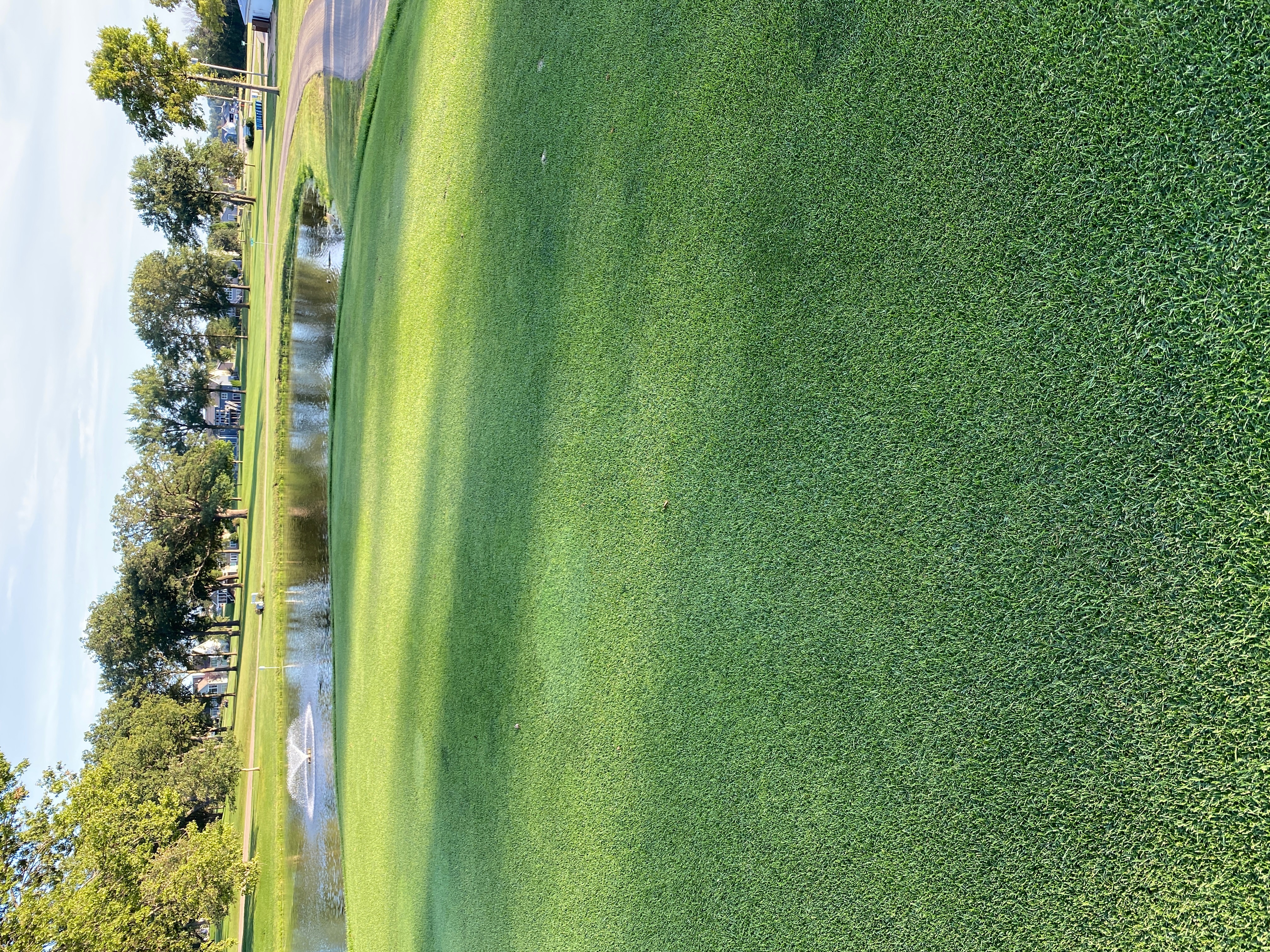 Tee box beside a fountain pond
